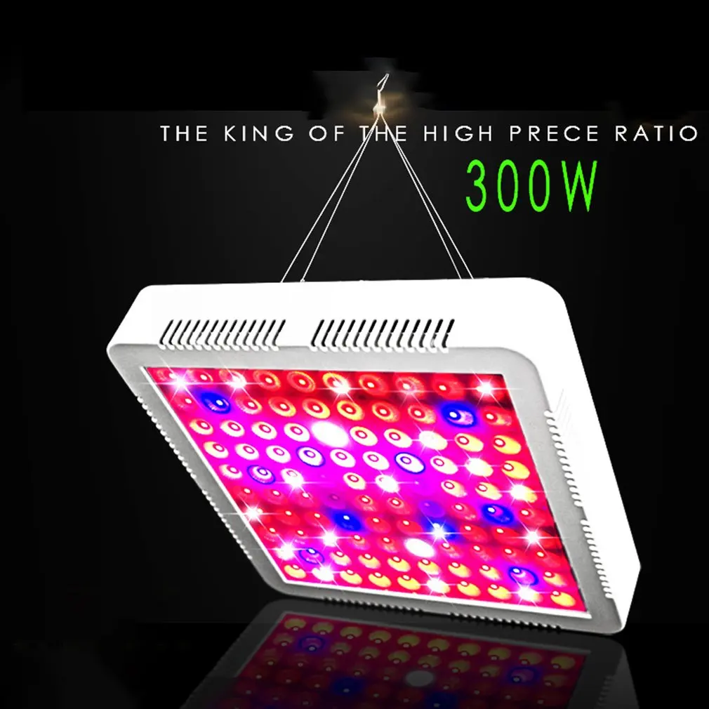 300 Вт растительный свет Led растительный рост лампы красный и синий соотношение все свет светодиодный спектр высокой мощности завод водонепроницаемый завод лампа