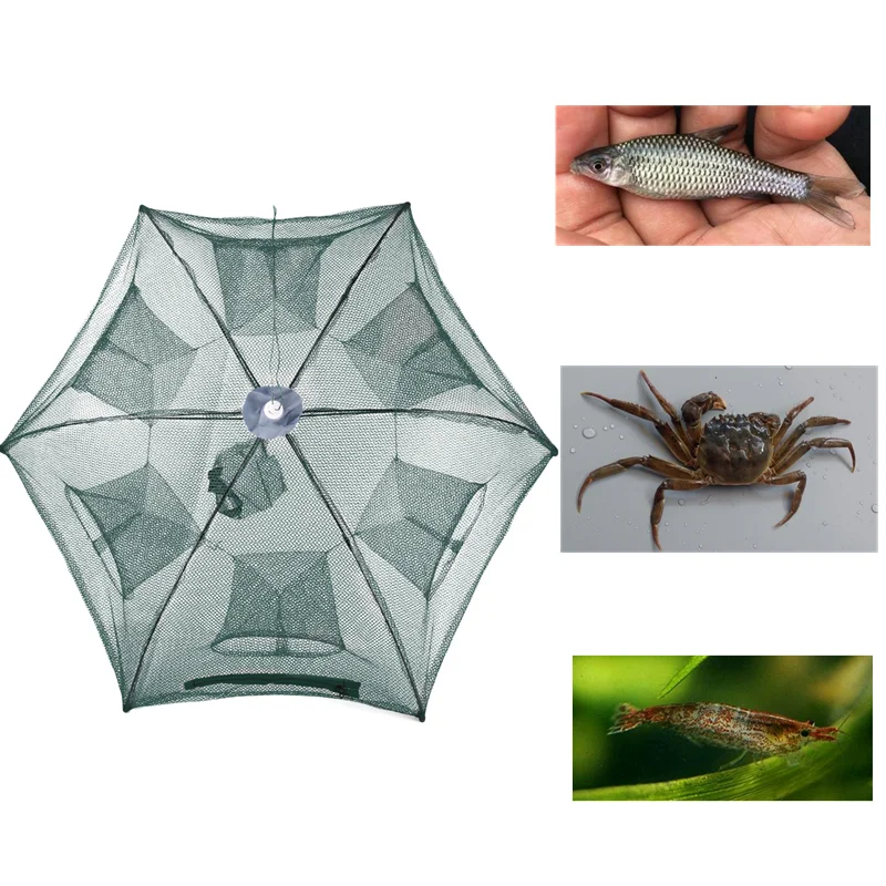 u=4282669985,903607935&fm=11&gp=0_副本