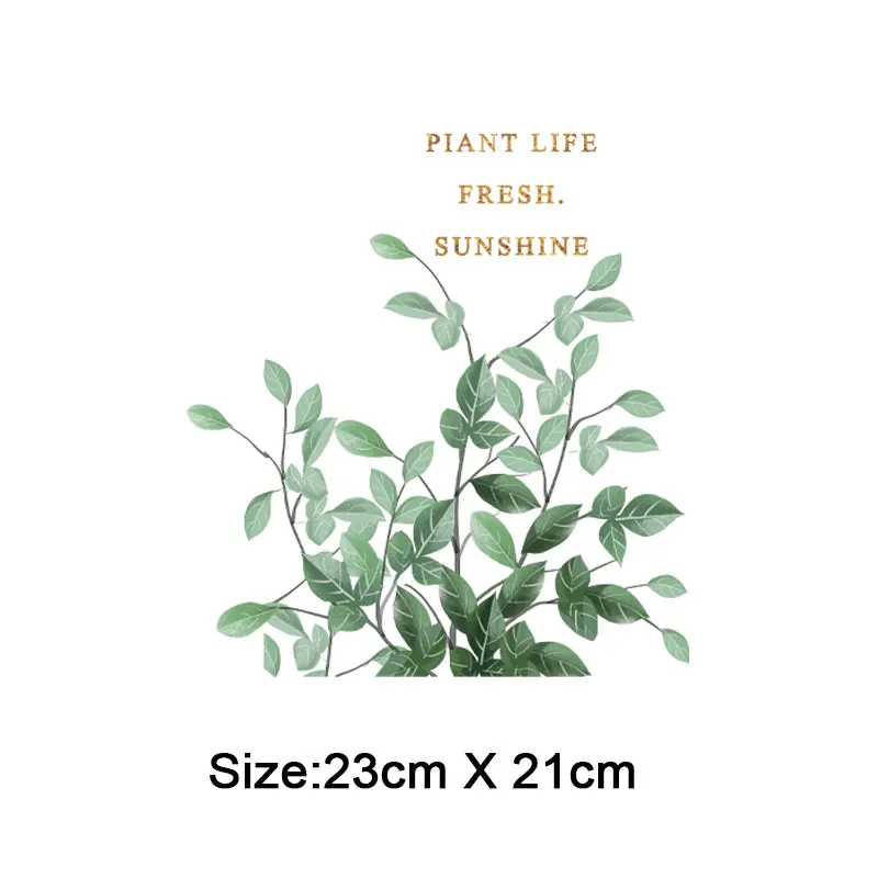 TA2594植物叶子_06