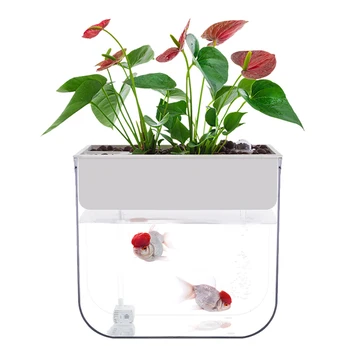 

Novice Ultra Clear Plastic Fish Tank Aquaponic Betta Fish Bowls Desktop Ecological Aquarium for Indoor Decoration