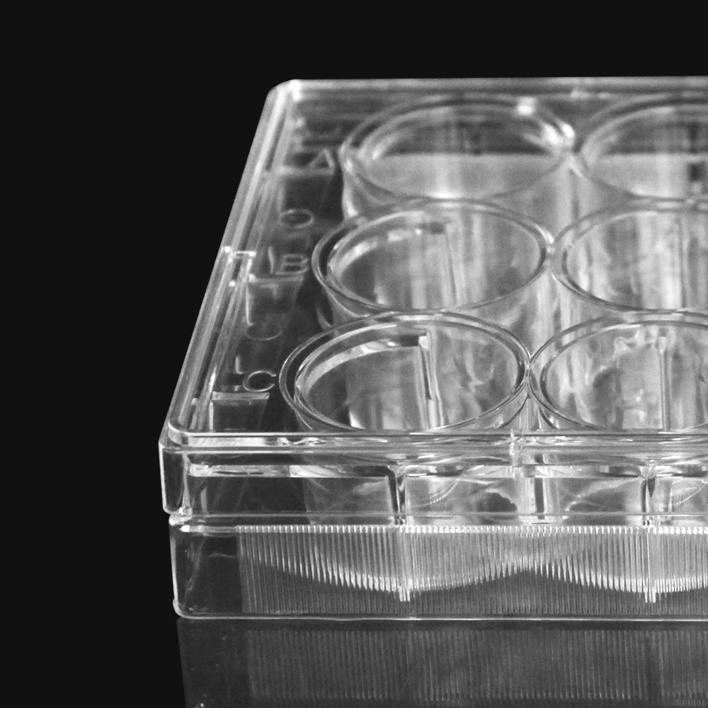 Labselect 12 Well Cell Culture Plate No DNase And RNase 10PCS/lot