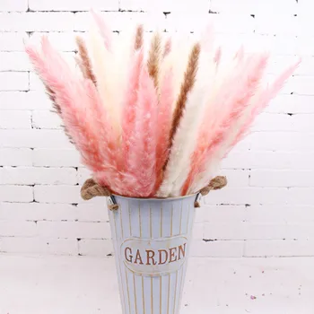 

15 Pcs Dried Small Pampas Grass Wedding Flower Bunch Natural Home Decor Phragmites Communism PinkFree Shipping