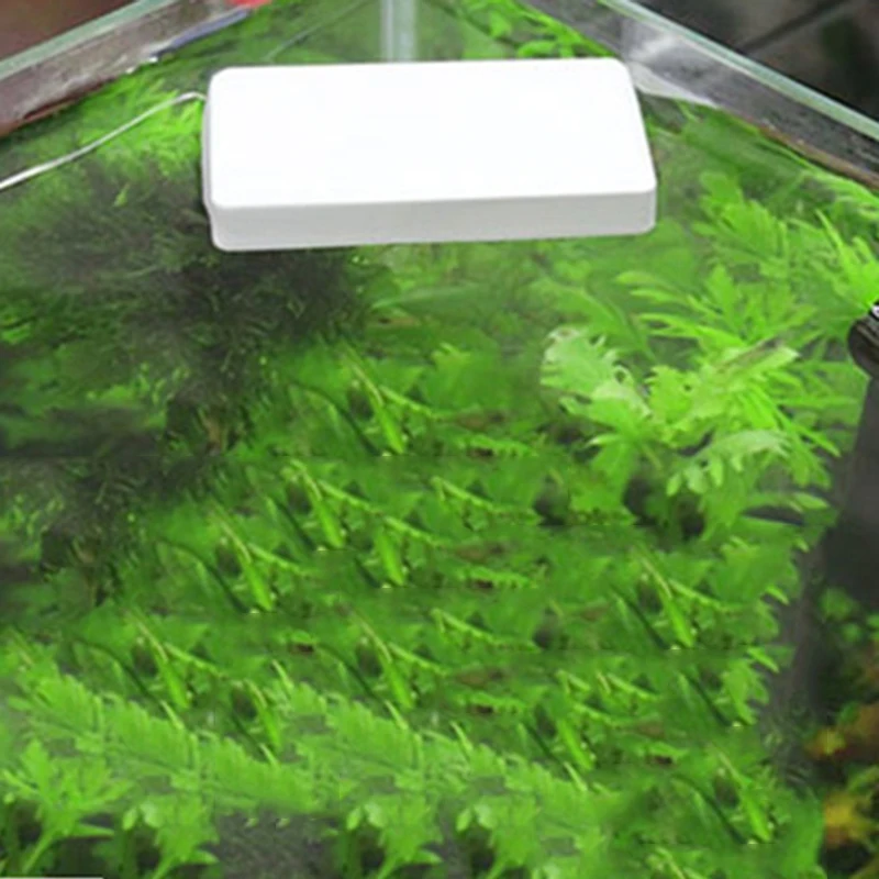 New Aquarium Cleaning Tools Strong Magnetic Cleaning Brush Glass Cleaning Brush Magnetic Brush Window Cleaning Magnets
