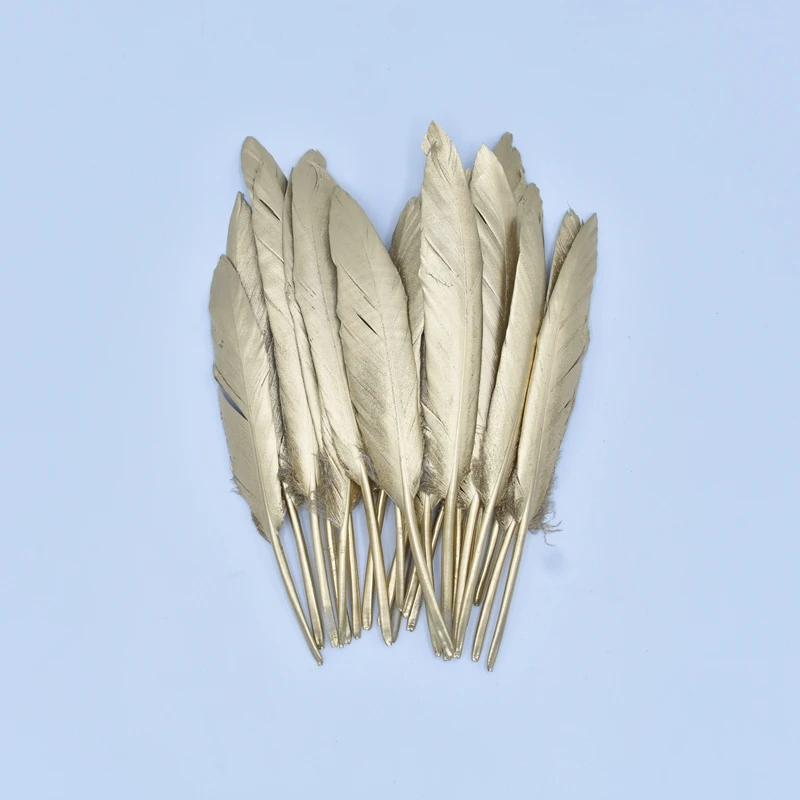 喷金羽毛 (14)