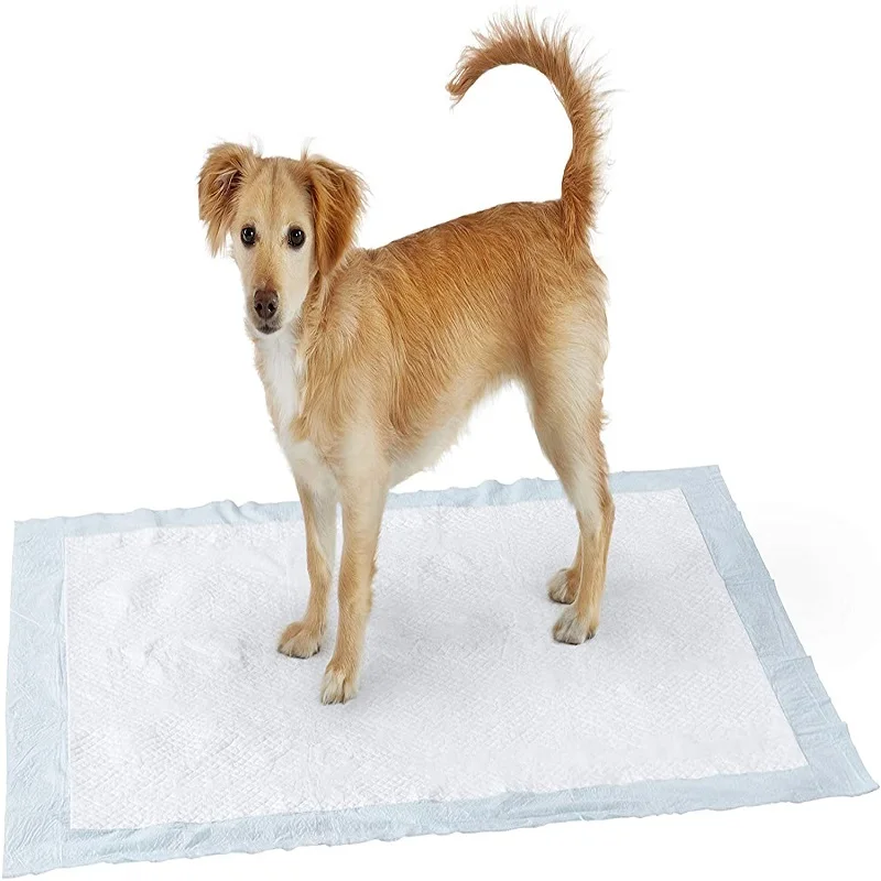 Alfombrilla de pañales de una sola vez para mascotas, colchón de protección absorbente para orina, almohadilla de orina para cachorro, cojín para mascotas, asiento de coche para perro