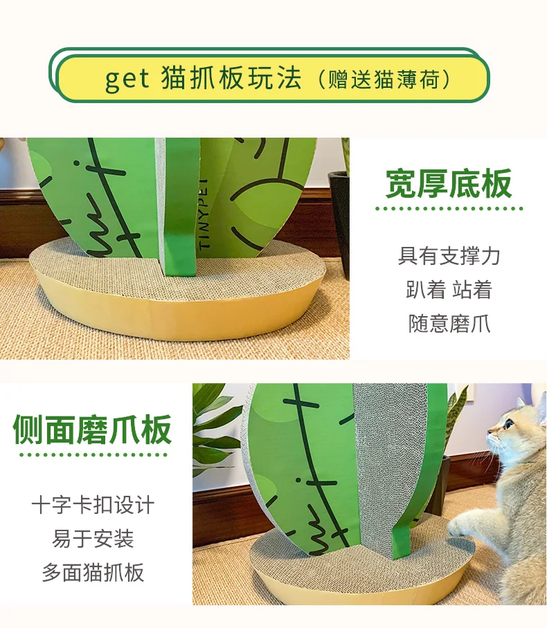 仙人掌详情页_05