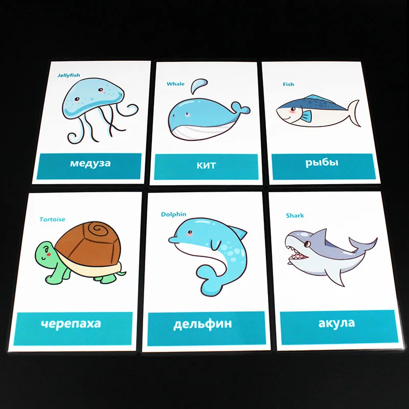 13Pcs Russian Sea Animals Educativos Prepositions Learn English Puzzles Montessori Cognitive Card Puzzle Toys for Children Gifts 3