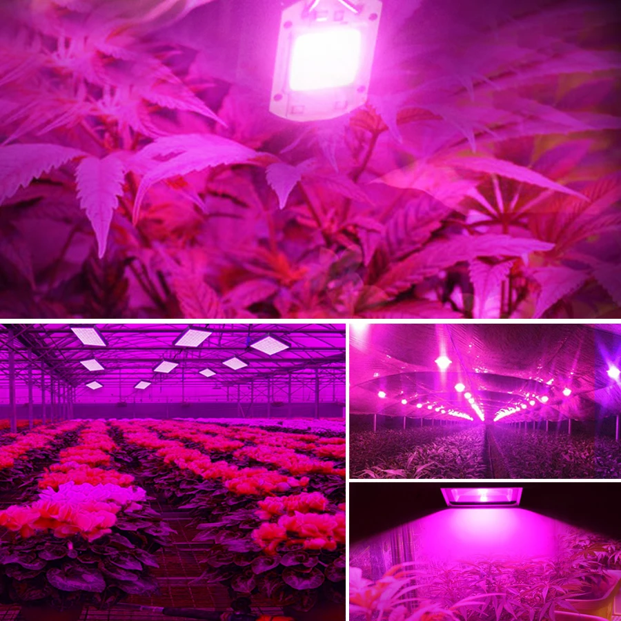 Светодиодный фитолампа полного спектра для выращивания растений 100 Вт 70 50 - Фото №1