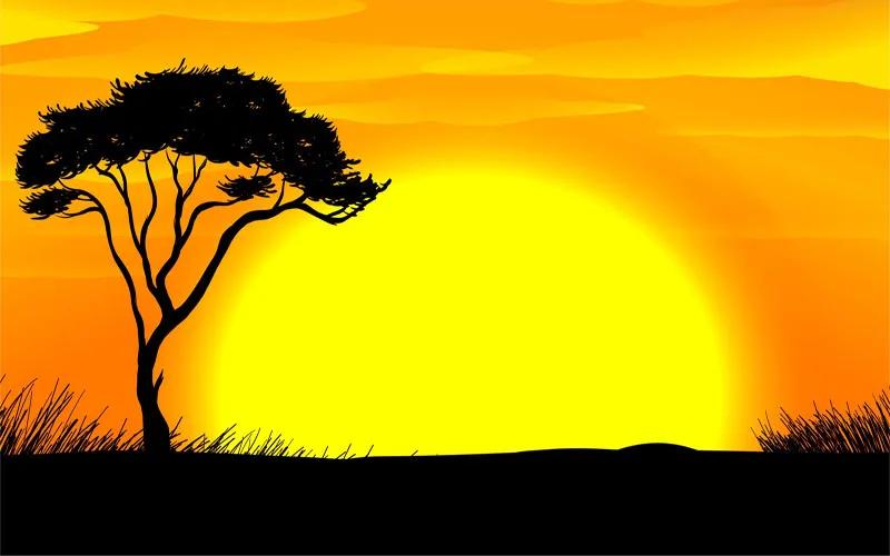 GFUITRR Lion King Sunset Photography Backdrop Baby Shower Kids Birthday Photo Background Vinyl Photo Booth Props
