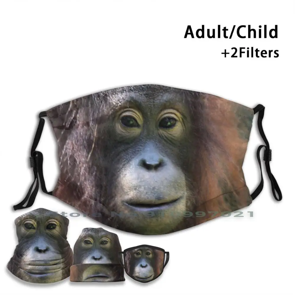 Портрет: Женская неодноразовая маска для лица на орангутане PM2.5 фильтры детей и