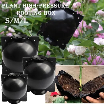 

5pcs Plant Rooting Ball Plant Root Growing Box Grafting Rooting Growing Box Breeding Case For Garden 5/8cm In Diameter.2020 New