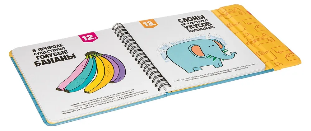 Мини игра в дорогу Верю- не верю Bondibon ВВ3361