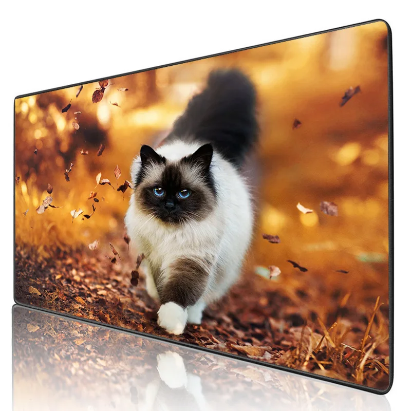 XGZ игровой коврик для мыши милый кот с узором Аксессуары консоли Большой Коврик