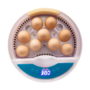 

Digital 4/7/9/12 Eggs Capacity Incubator For Egg Broedmachine Chicken Duck Quail Birds Eggs Hatcher Electronic Incubator Tool