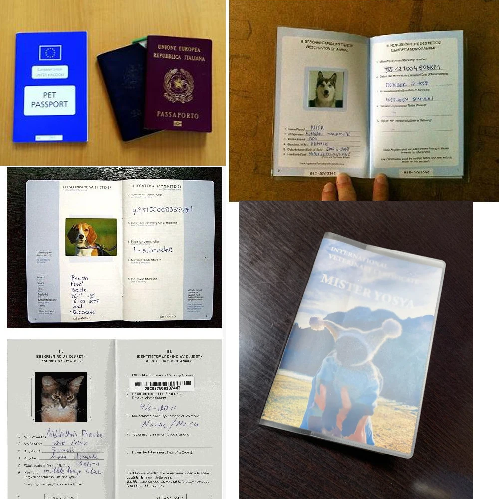 Couverture de passeport pour animaux de compagnie, accessoires de voyage, produits pour animaux de compagnie, couverture européenne, chien, chat