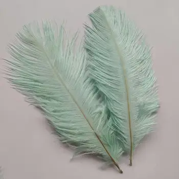 

Wholesale 10pcs Beautiful Mint Green High Quality 6-8 inches/15-20cm Ostrich Feather For Wedding Decoration Handmade