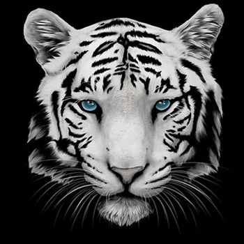 

Drop shopping Customer private custom products 1000 bags