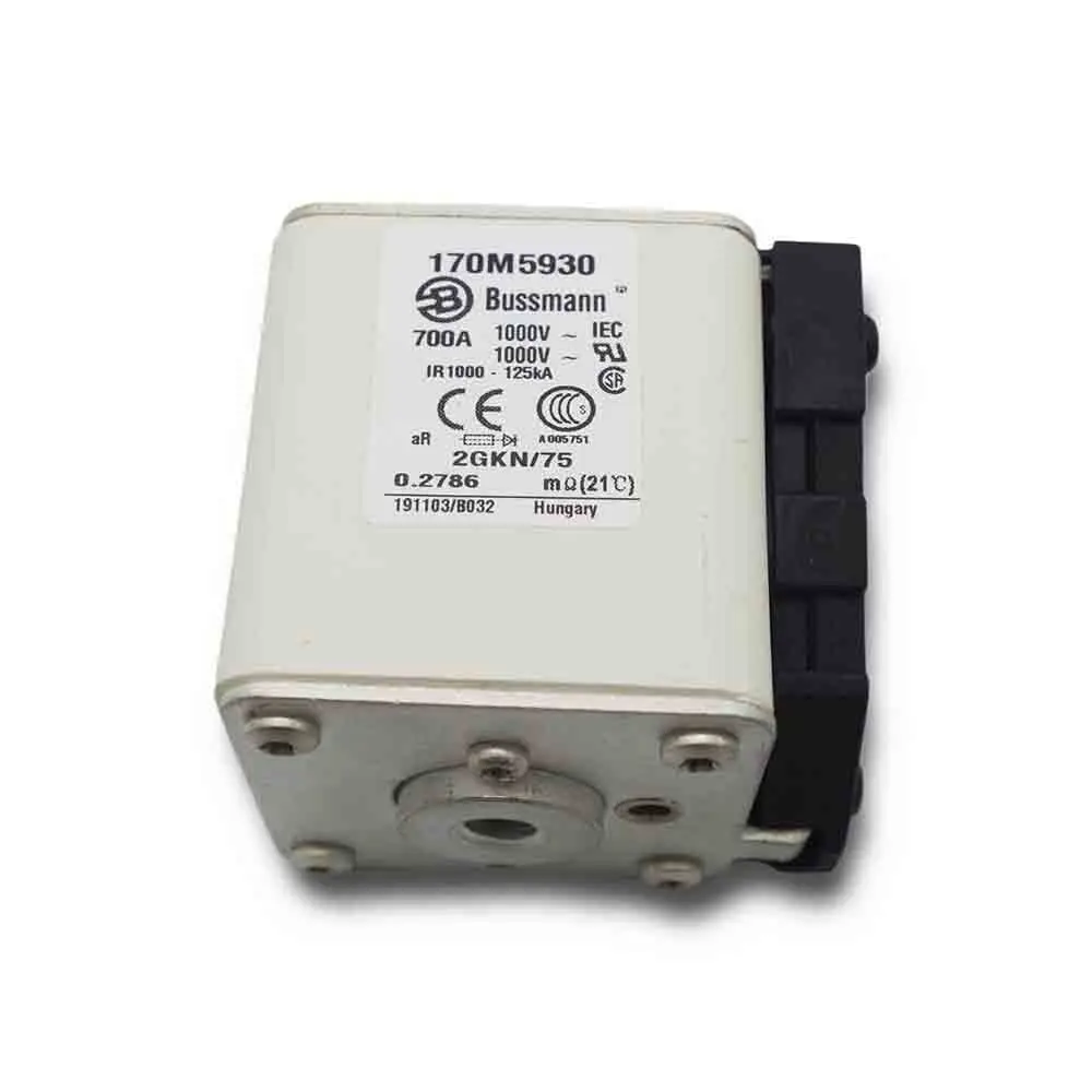 

Ceramic Fuse 170M5930 1000V 700A Power Fuse for Motor Short Circuit Protection