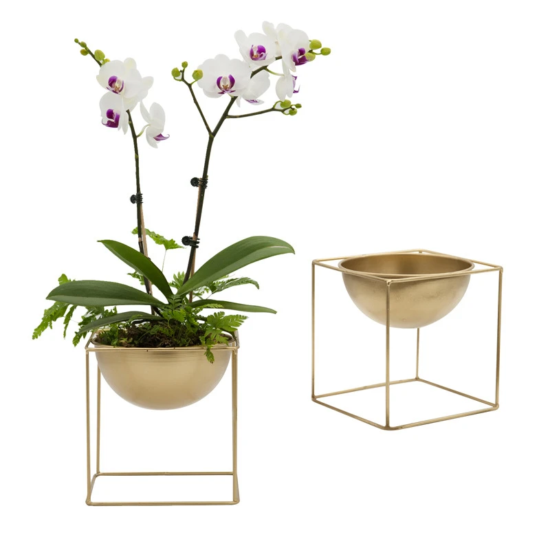 

Hot Nordic Flower Pots Golden Wrought Iron Flower Stand Green Succulent Plant Pot Fleshy Hydroponic Potted Interior Decorations