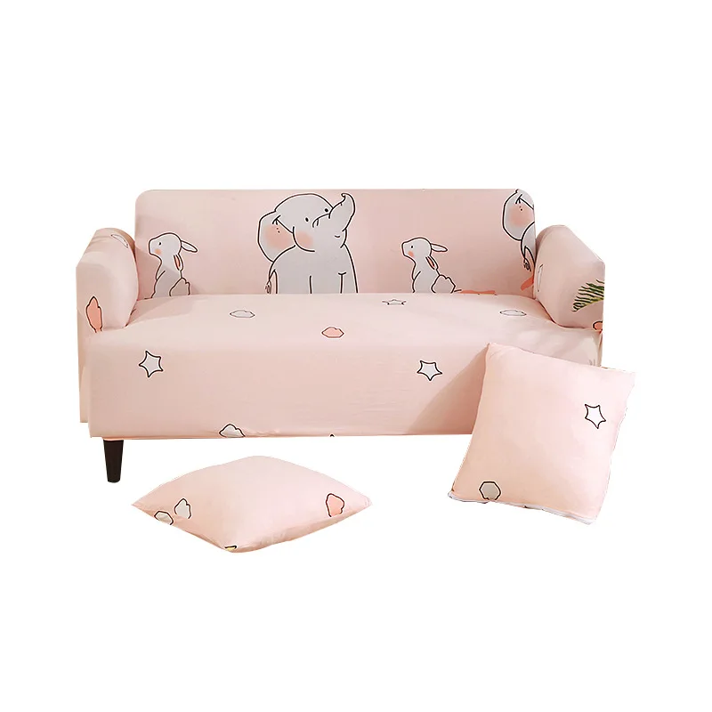 11122785012_883623843