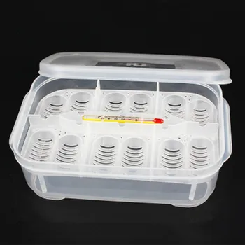 

12 Grids Hatch Box Snake Lizard Reptile Egg Tray Boxes Hatching Eggs Device Climbing Pet Tortoise Turtle Incubator Supplies C42