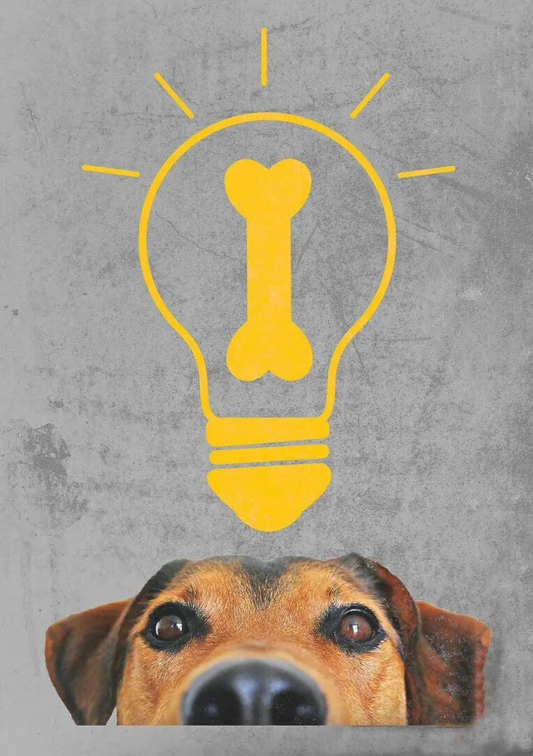 

Милые постеры Terrier Idea, жестяной знак, металлическое искусство, праздничное украшение, наружное и настенное украшение, картина, металлическая пластина 8x12