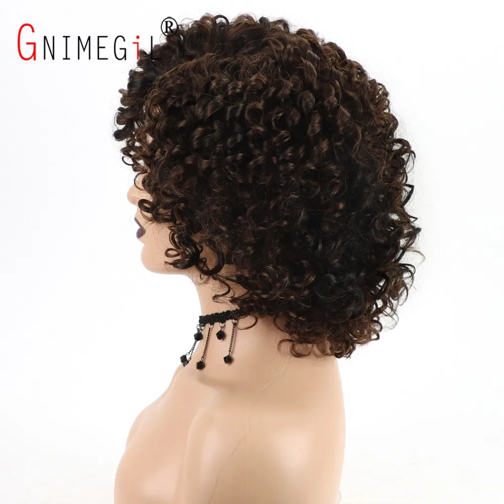 GNIMEGIL Female Afro Kinky Curly Wig Synthetic Fiber Colly Curls Wigs for Black Women Fashion Dark Brown Hair Replacement Wig