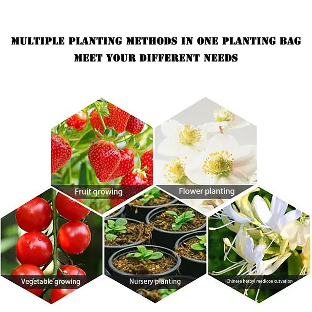 Pe Ültetési Táska Lógó Lélegző Szövet Növényi Edényekkel Strawberry Magok, Amelyek Függő Zöldségeket Termesztenek, Táskák Ültetése - Image 5