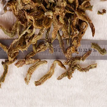 

Turtle Tortoise Reptile Food Feed Sticks Granules Dried Fish Shrimp Mealworm Aquarium Fish Food
