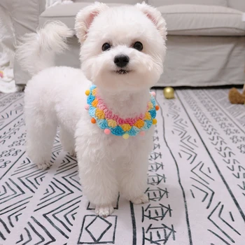 Rena Rainbow Knitted Pet Collar