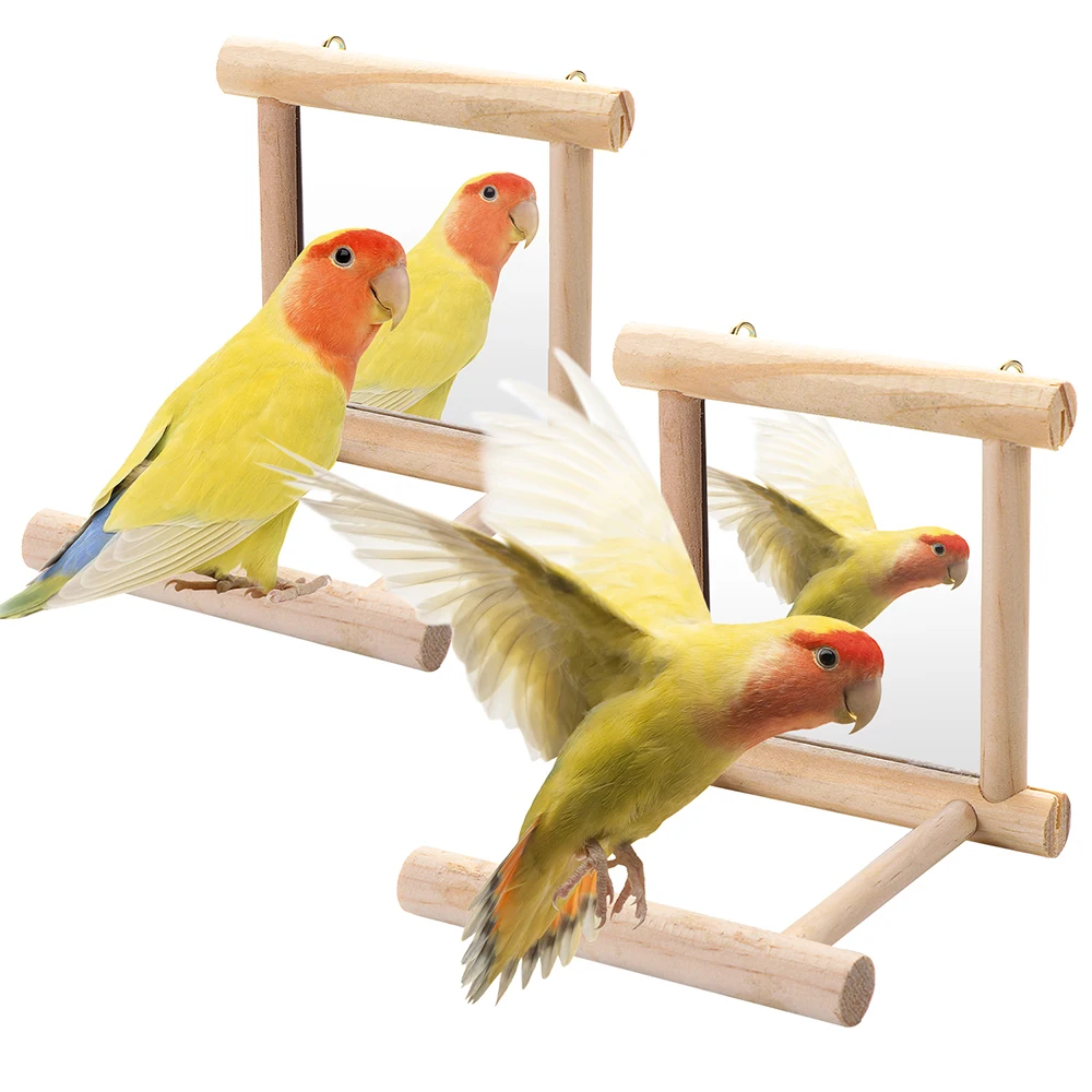 Bird Mirror with Wooden Perch Interactive Hanging Toy for Parrot Budgie