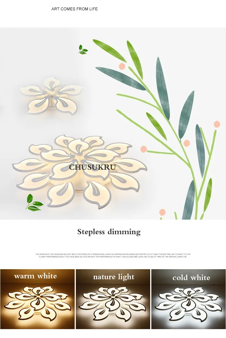 5343820825_898952657_meitu_1