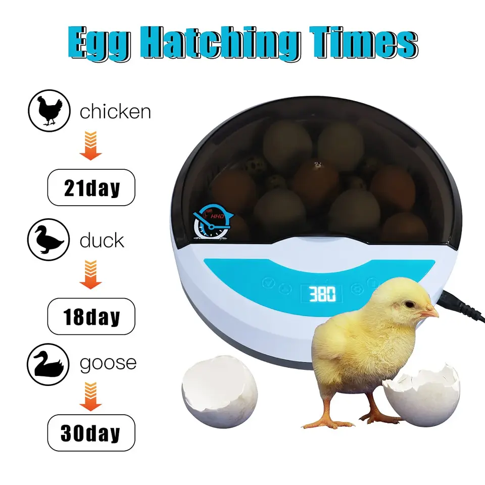 Incubatrice Domestica Automatica Per Uova - 9 Uova, Controllo Temperatura Digitale Per Polli E Anatre - Foto 11