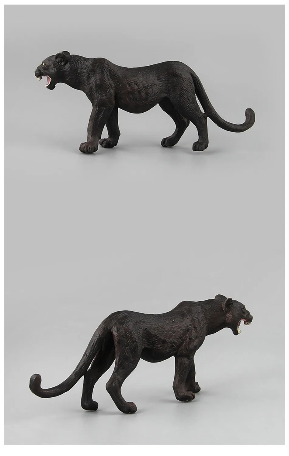 9040032303_202388549_副本