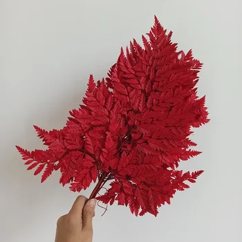 

5PCS Dried Flowers Fern Leaves Natural Plants Leaf Immortal Dry Flower Materials DIY Wedding Party Decoration