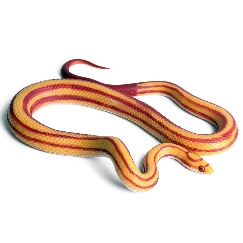 

Children's Wild animal model Corn snake reptile python model Collecting gifts Toy model