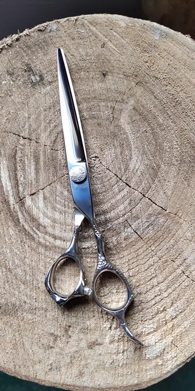 QQ图片20200214191024_副本