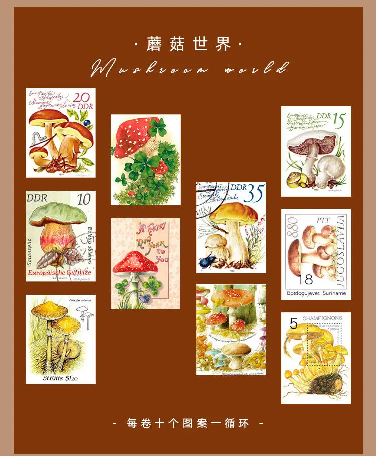 aeProduct.getSubject() https://img.alicdn.com/imgextra/i3/665554948/O1CN01tVk0m21mQEJfN2k46-665554948.jpg_.webp