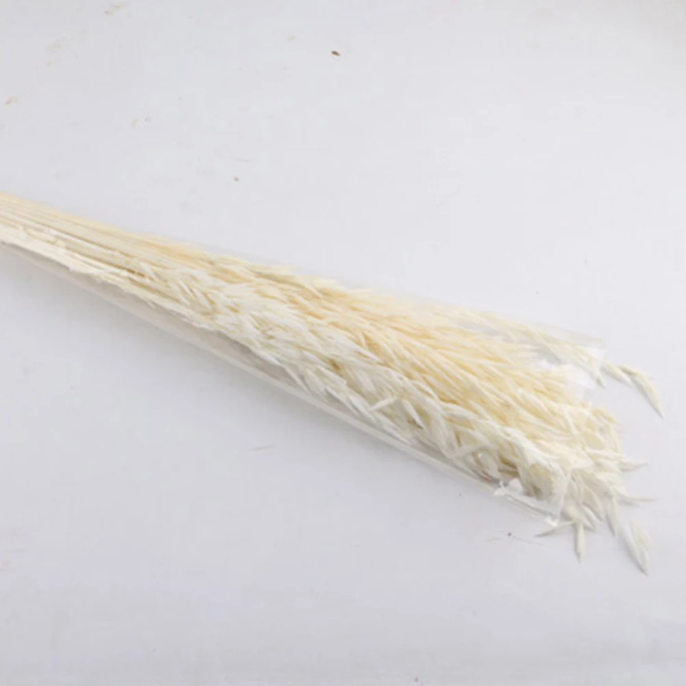 

50 Pcs Gift Natural Garden Wedding Eco Friendly Decoration Anniversary Photography Prop DIY Valentine's Day Home Dried Flower