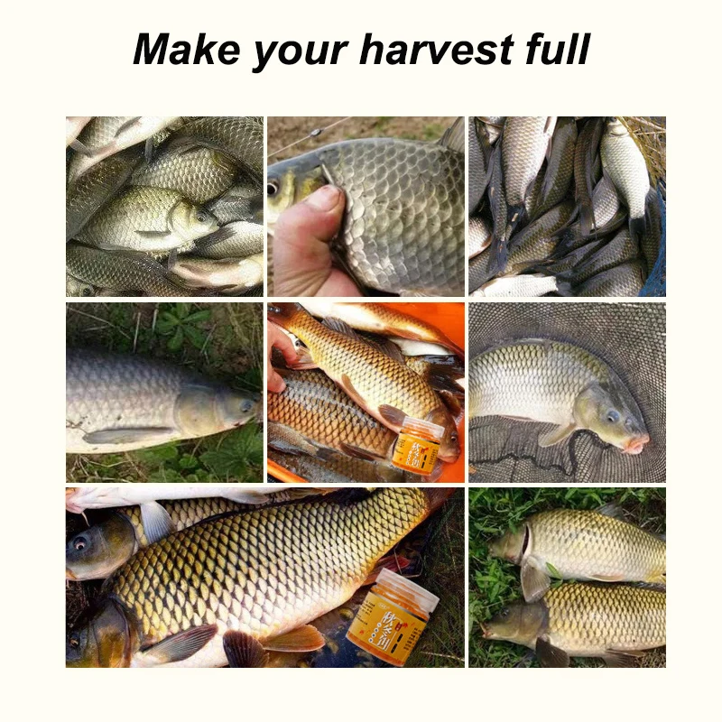 Fishing Bait Low Temperature Bait Carp Crucian Carp Grass Carp Tilapia Wild  Fishing Black Pit Supplies Trout Lure Set - Fishing Lures - AliExpress