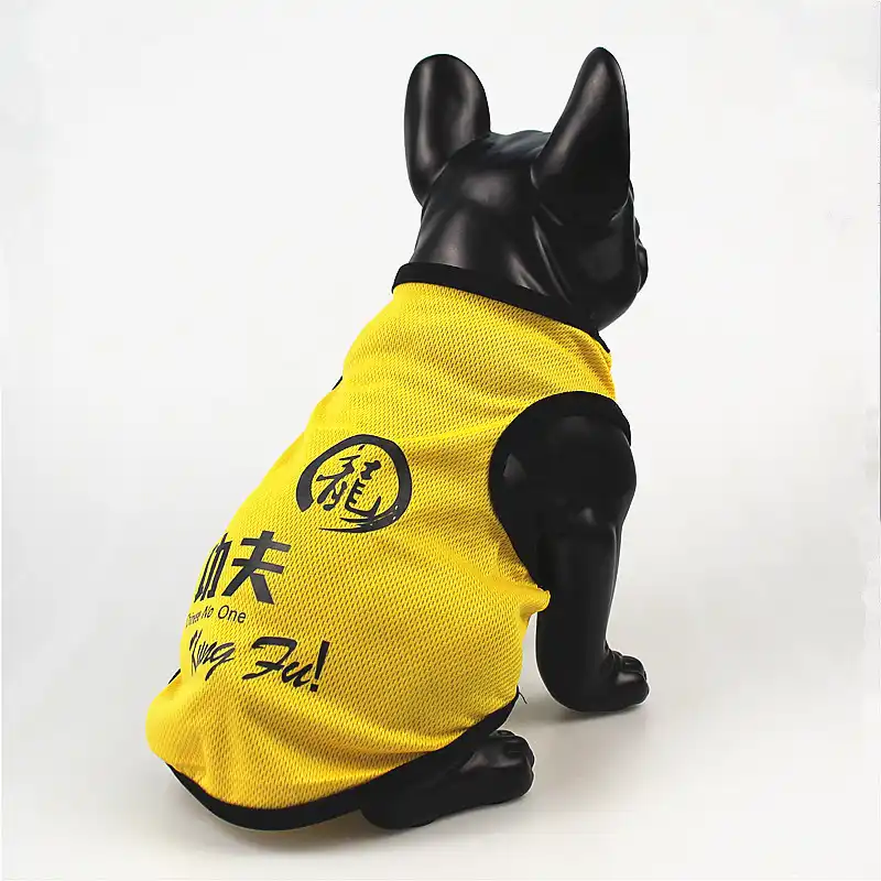 Gilet D Ete De Style Kung Fu Jaune Fait De Votre Chien Un Kung Fu Et De Combat Chien Protection Maitre Et Chat Respirant A Manches Courtes Aliexpress Gilet D Ete De Style Kung Fu Jaune Fait De Votre Chien Un Kung Fu Et De Combat Chien Protection Maitre Et Chat Respirant A Manches Courtes Aliexpress