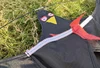 Outdoor Toys 47 Inch  Bird Scaring  Eagle Kite Good Flying For Garden/Orchard/ Farm 5