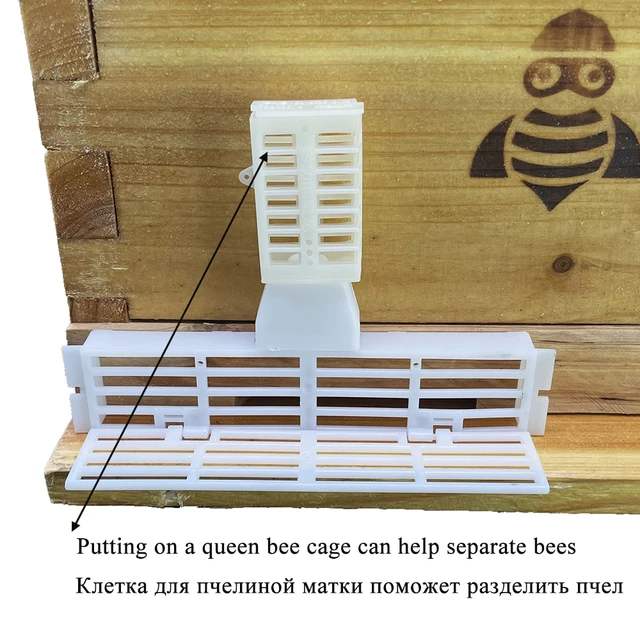 Méhészeti Készítő Szerszámok Műanyag A Királynő Méh Megakadályozza Futásgátló Méhkas Ajtó Fészek Keret Ketrec Új King Tenyésztő Farmot - Image 5