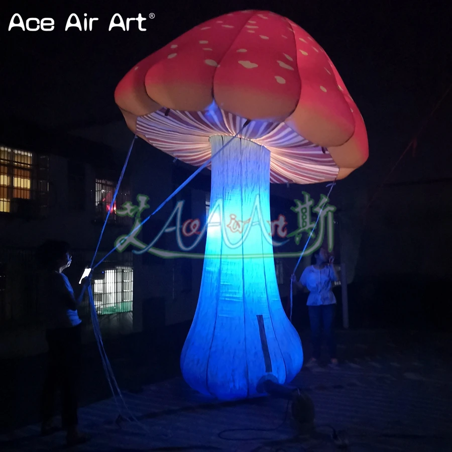 QQ图片20190617220435_副本_副本