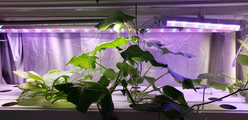 5 шт./лот 60 см 90 см 120 см T8 полноспектральный гидропонный светодиодный светильник для выращивания растений 30 Вт 45 Вт 60 Вт