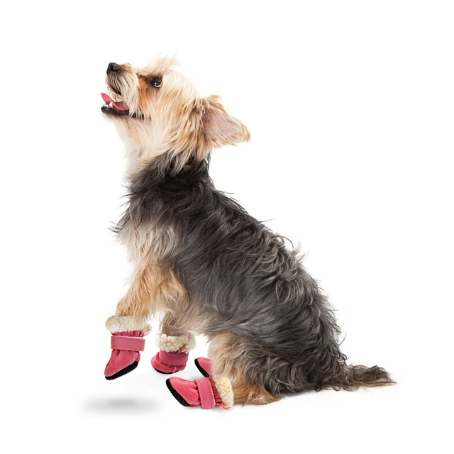 Chaussures Antidérapantes Universelles, Crampons Durables Avec Une Bonne  Élasticité, Faciles À Enfiler Ou À Enlever - Chaussures Pour Chien -  AliExpress