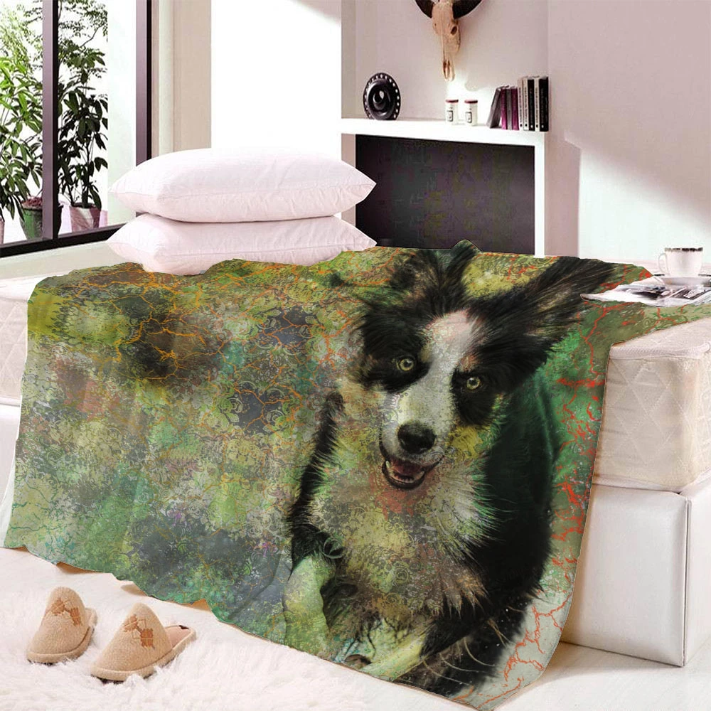 furry dog blanket