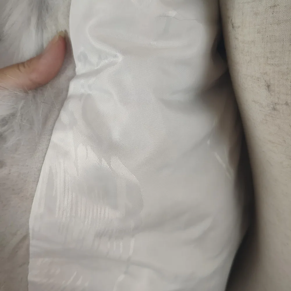 本白 (5)
