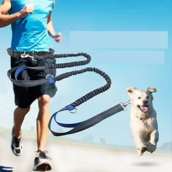 

Running Walking Dog Rope Pet Dog Leashes Elasticity Leash For Small Medium Large Dogs Puppy Collar Cat Dog Chest Strap Leash