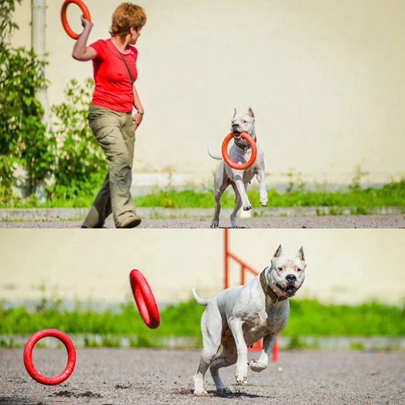 Pet укус собаки-устойчивая игрушка для прорезывания зубов собака кольцо Евы плавающие интерактивные игрушки принадлежности для дрессировки животных красный зеленый